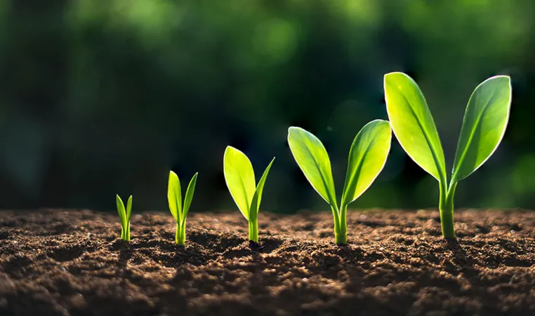 Shasta Stride Montessori Preschool 