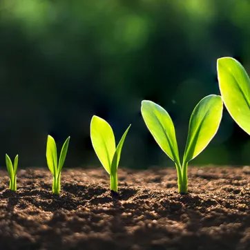 Shasta Stride Montessori Preschool 