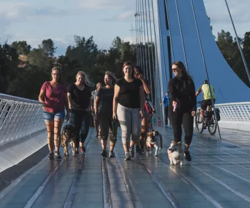 Community Health Resources